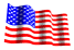 USA Flag